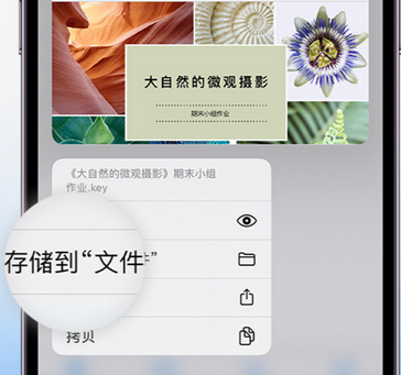 霍尔果斯apple维修中心分享iPhone文件应用中存储和找到下载文件