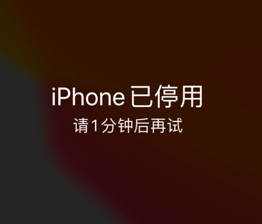 霍尔果斯苹果手机维修分享:iPhone 显示“不可用”或“已停用”怎么办？还能保留数据吗？ 