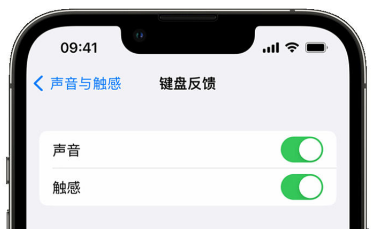 霍尔果斯苹果手机维修分享iPhone 14触感键盘使用方法 