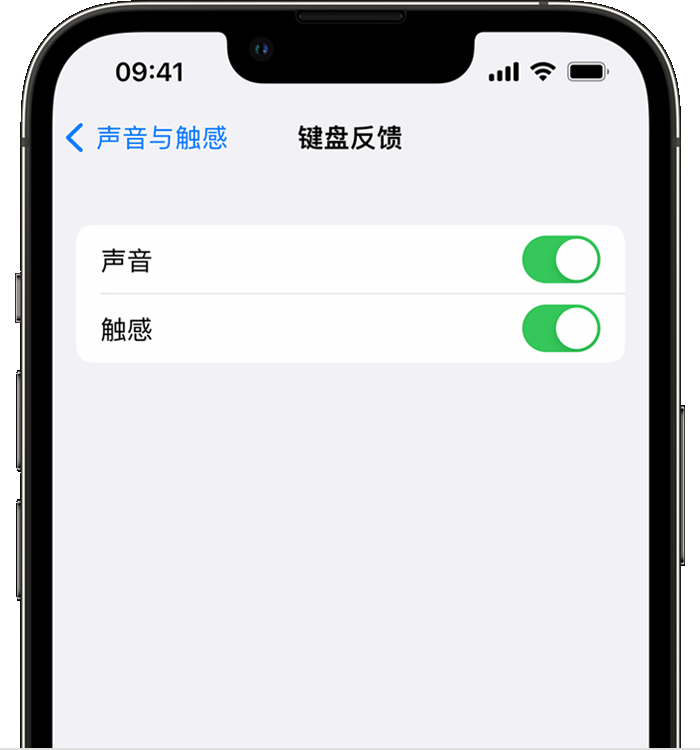 霍尔果斯苹果14维修店分享如何在 iPhone 14 机型中使用触感键盘 