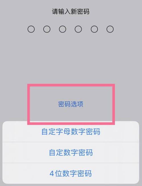 霍尔果斯苹果14维修分享iPhone 14plus设置密码的方法 