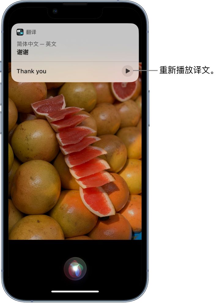 霍尔果斯苹果14维修分享 iPhone 14 机型中使用 Siri：了解 Siri 能帮你做什么 