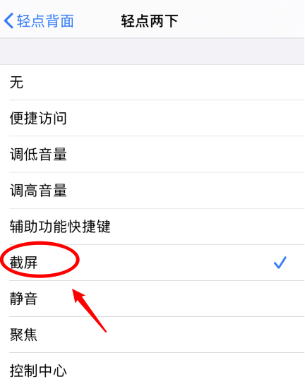 霍尔果斯苹果手机维修分享iPhone12如何启用双击截屏 