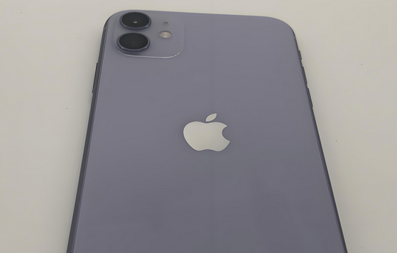 霍尔果斯苹果11系统维修分享iPhone11手机系统崩溃无法开机如何解决 